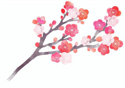 三寒四温の画像