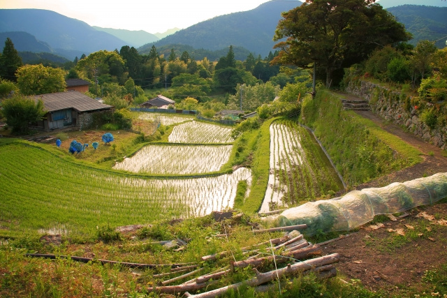 土地購入で田園住居地域を選ぶメリットは？農地転用の可否も解説...の画像