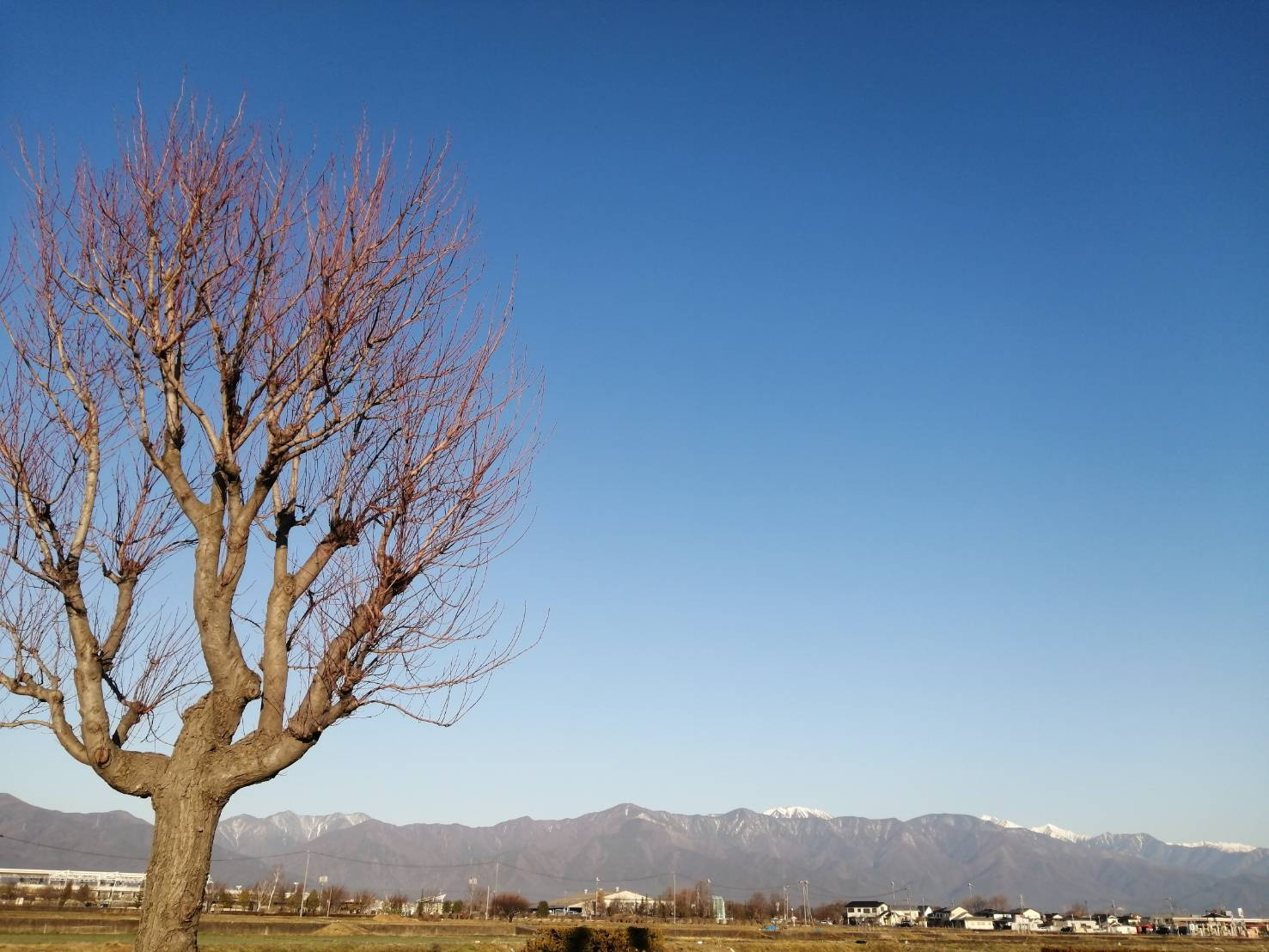 ごほうびの画像