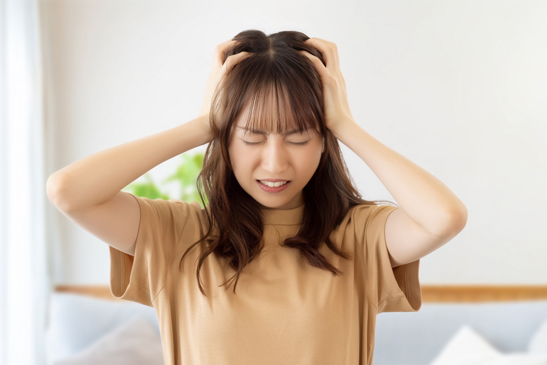【1〜3月部屋探し】繁忙期トラブル5選｜知らないと損する落と...の画像