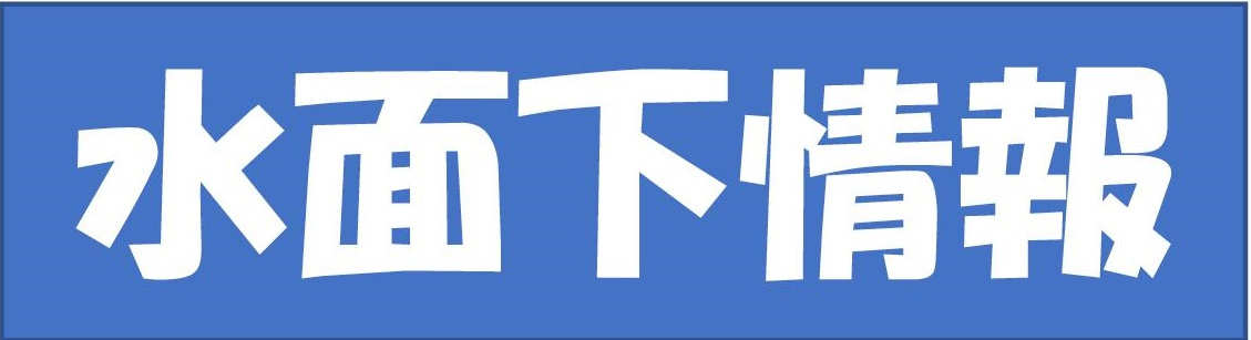 本日の新着情報!!の画像