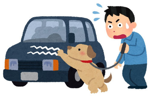今さらちょっと聞きにくい賃貸のこと⑧の画像