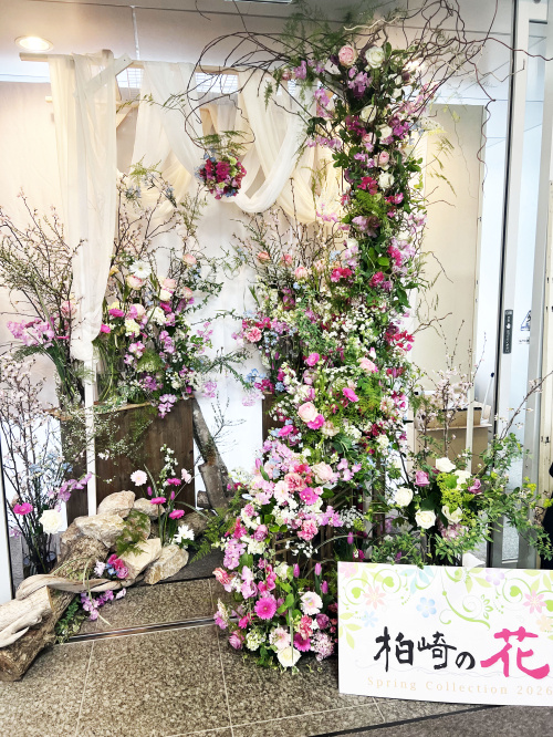 「柏崎の花 Spring Collection」春の訪れ？！...の画像