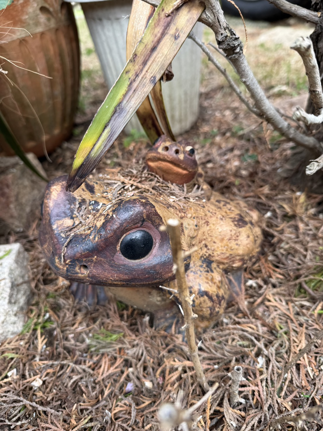 お困り事はレグラスに相談してみようの画像