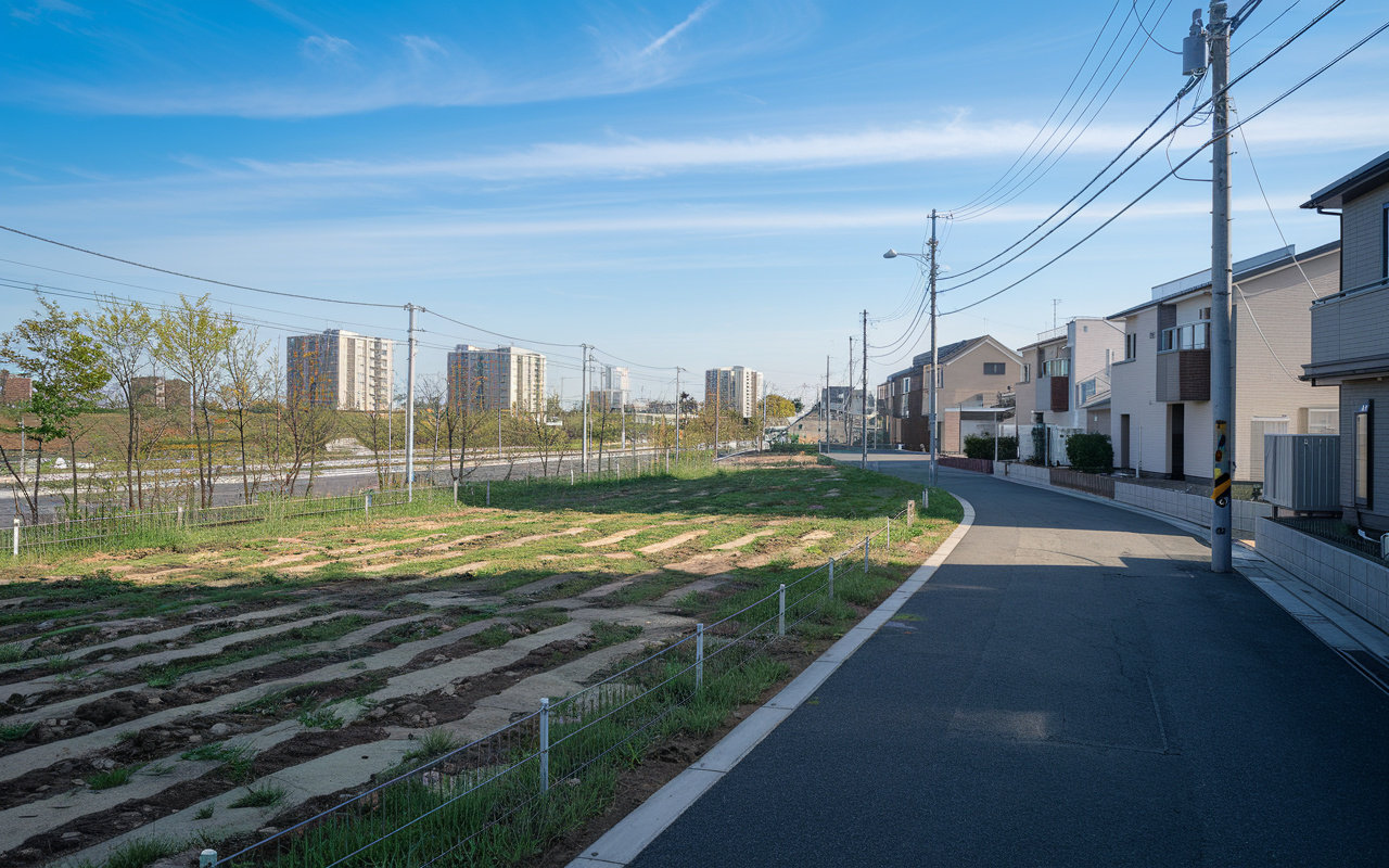 雑種地の売却時に整地は必須か？判断基準やポイントも解説の画像