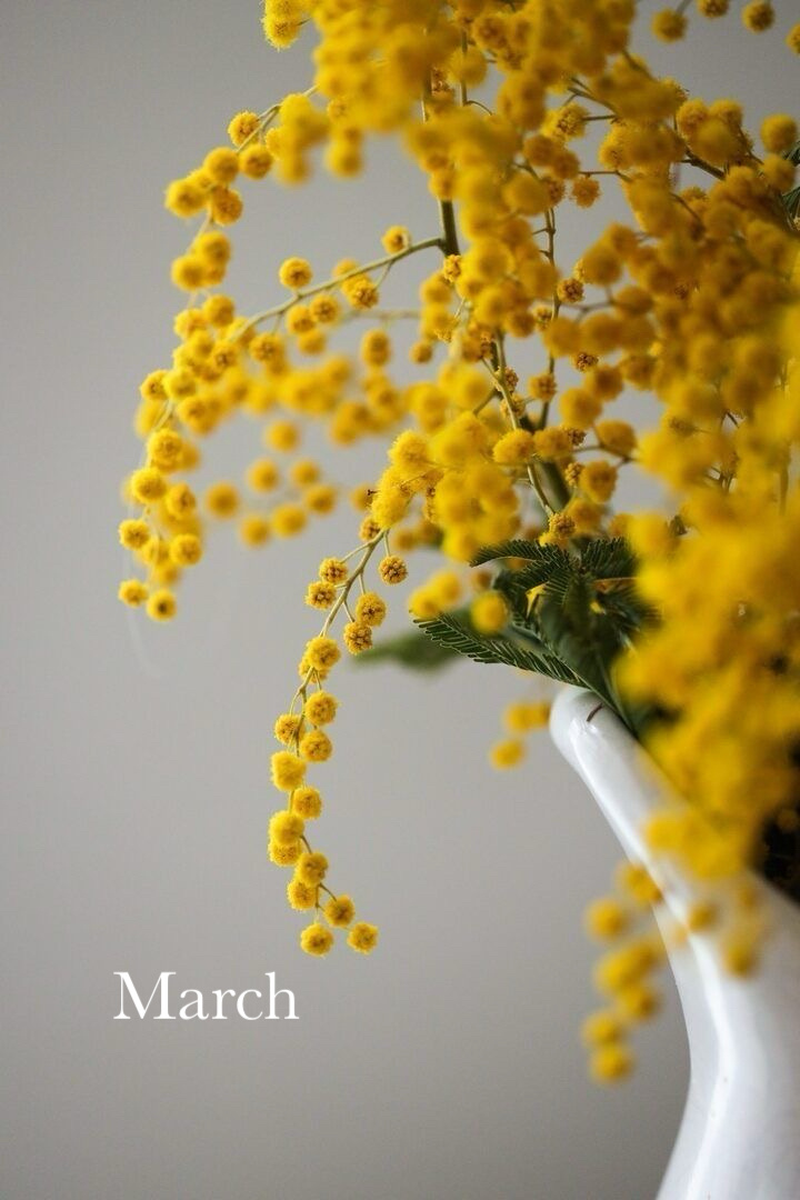 SamLife3月スタート【飯塚市不動産】の画像