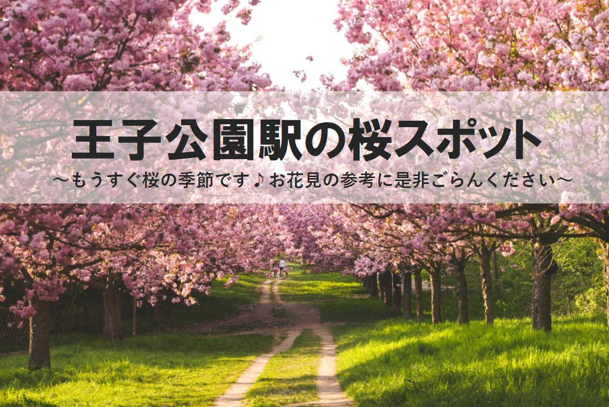 桜スポットで花見を満喫したい方必見！水道筋商店街と神戸市灘区...の画像