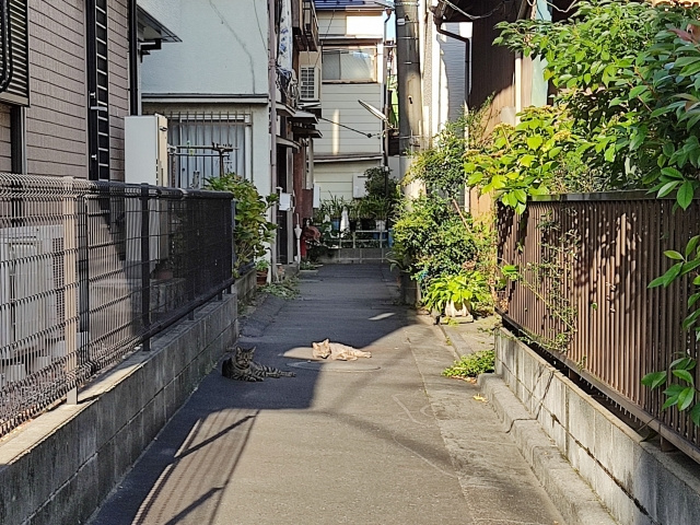 再建築不可物件の売却方法は？建て替えを可能にする対策も解説の画像