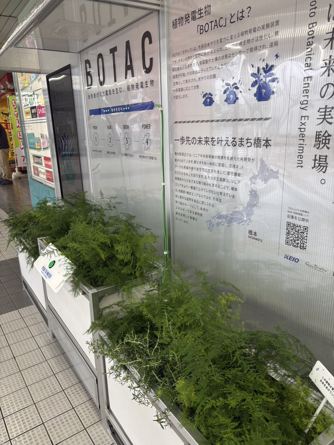 植物発電？の画像