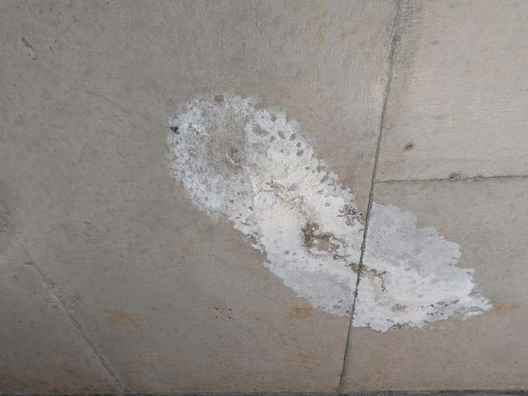 【岐阜市の雨漏り事例】内見中に発覚した“白い粉”の正体とは？...の画像