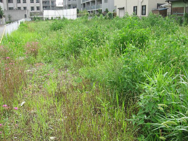 使わなくなった土地、そのままになっていませんかの画像