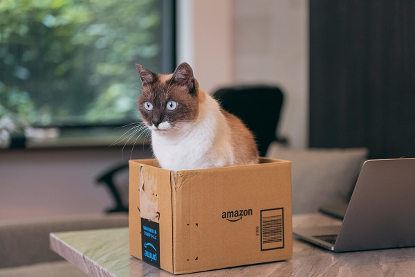 大阪市でペットと暮らす物件探しはどこが注目？中古マンションや...の画像