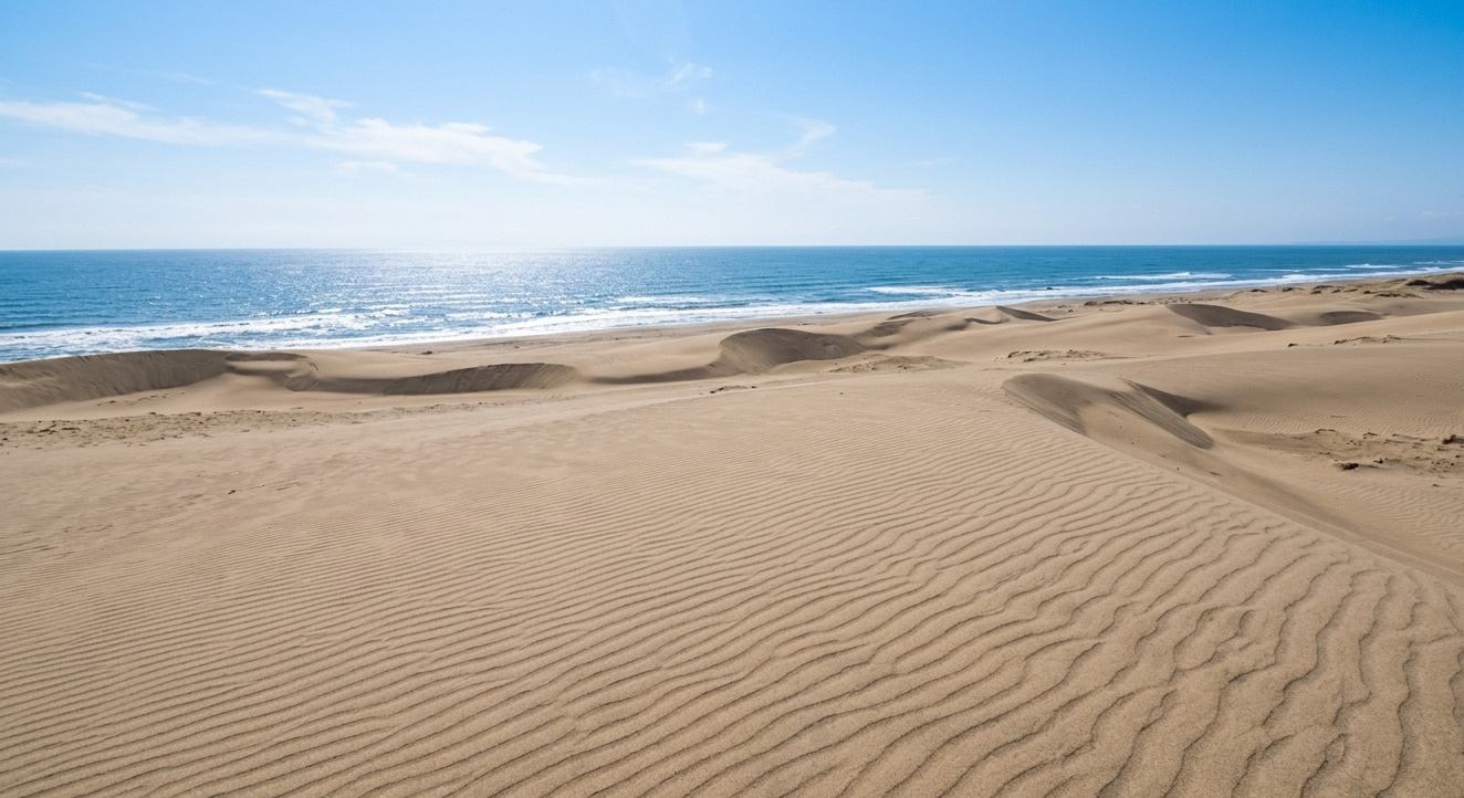 日本三大砂丘の一つ！浜松市中央区の「中田島砂丘」の概要と施設...の画像