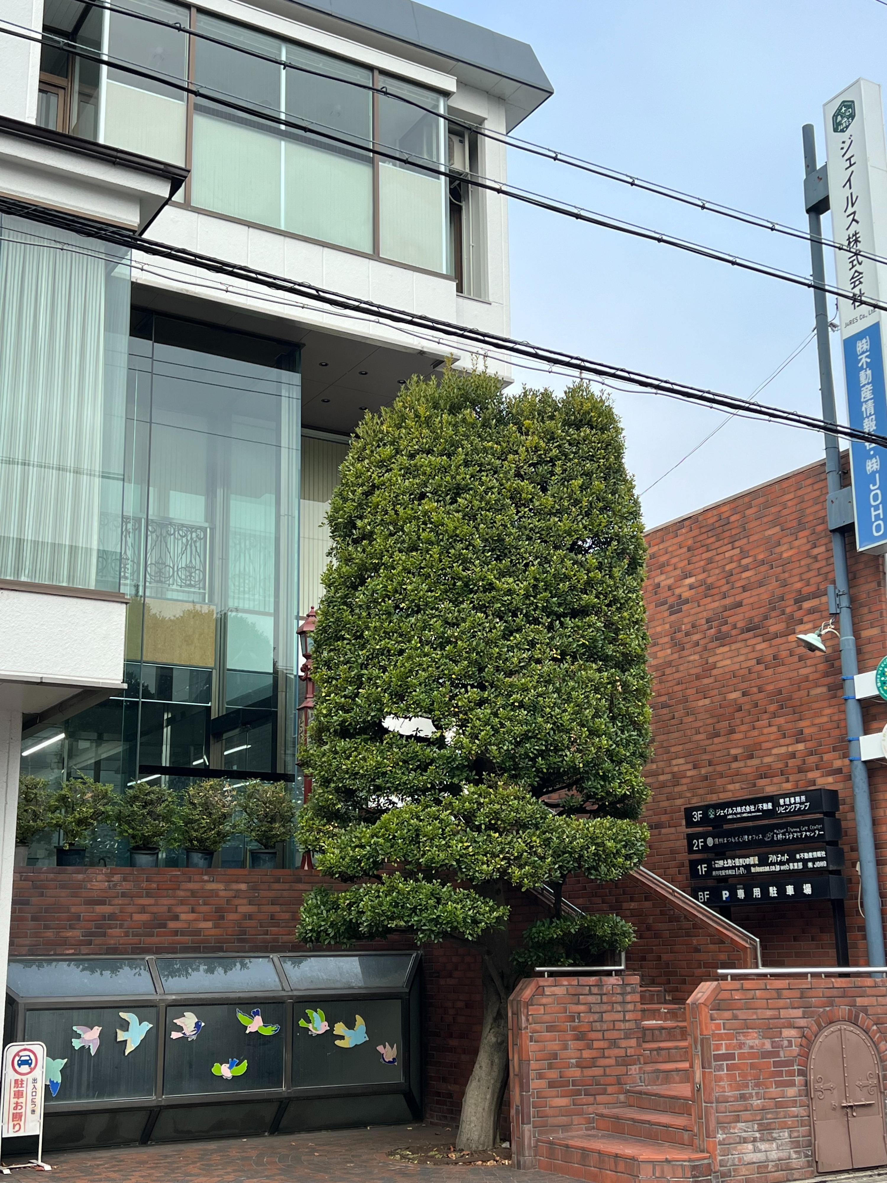 【松本市の不動産完全ガイド】2026年最新版｜土地・新築・中...の画像
