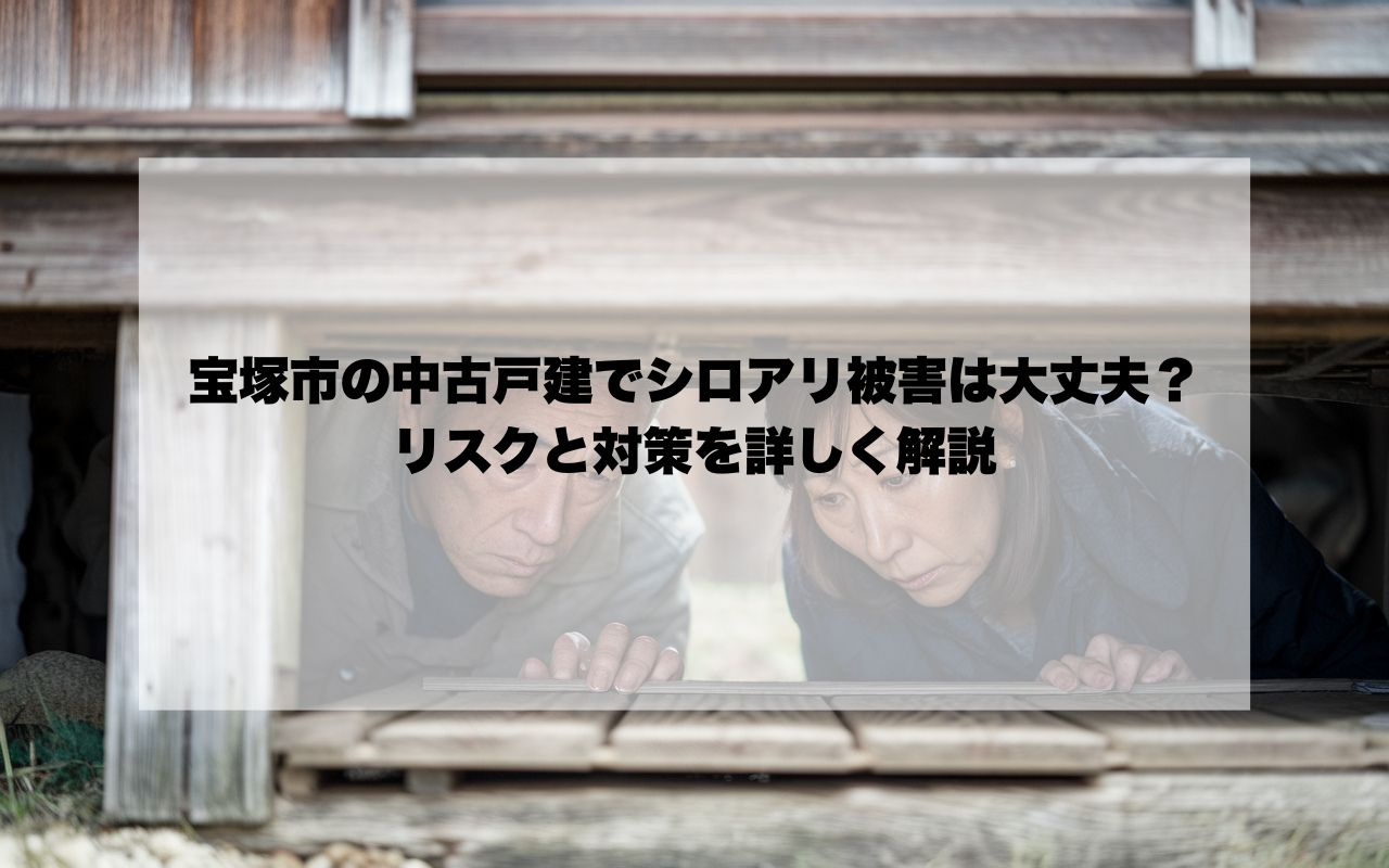 宝塚市の中古戸建でシロアリ被害は大丈夫？リスクと対策を詳しく...の画像