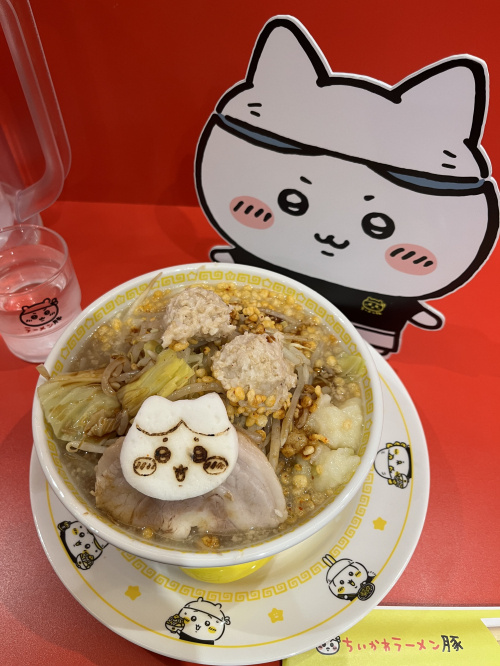 猫が喜ぶ間取りの工夫はどこにある？暮らしやすい家づくりのポイ...の画像
