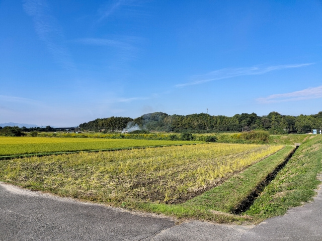 高崎市で土地購入を考える方必見！青地と白地の違いをわかりやす...の画像