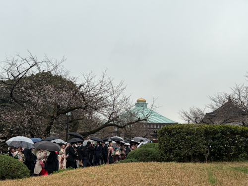 桜と袴の卒業式――日本の3月に広がる別れと旅立ちの文化の画像
