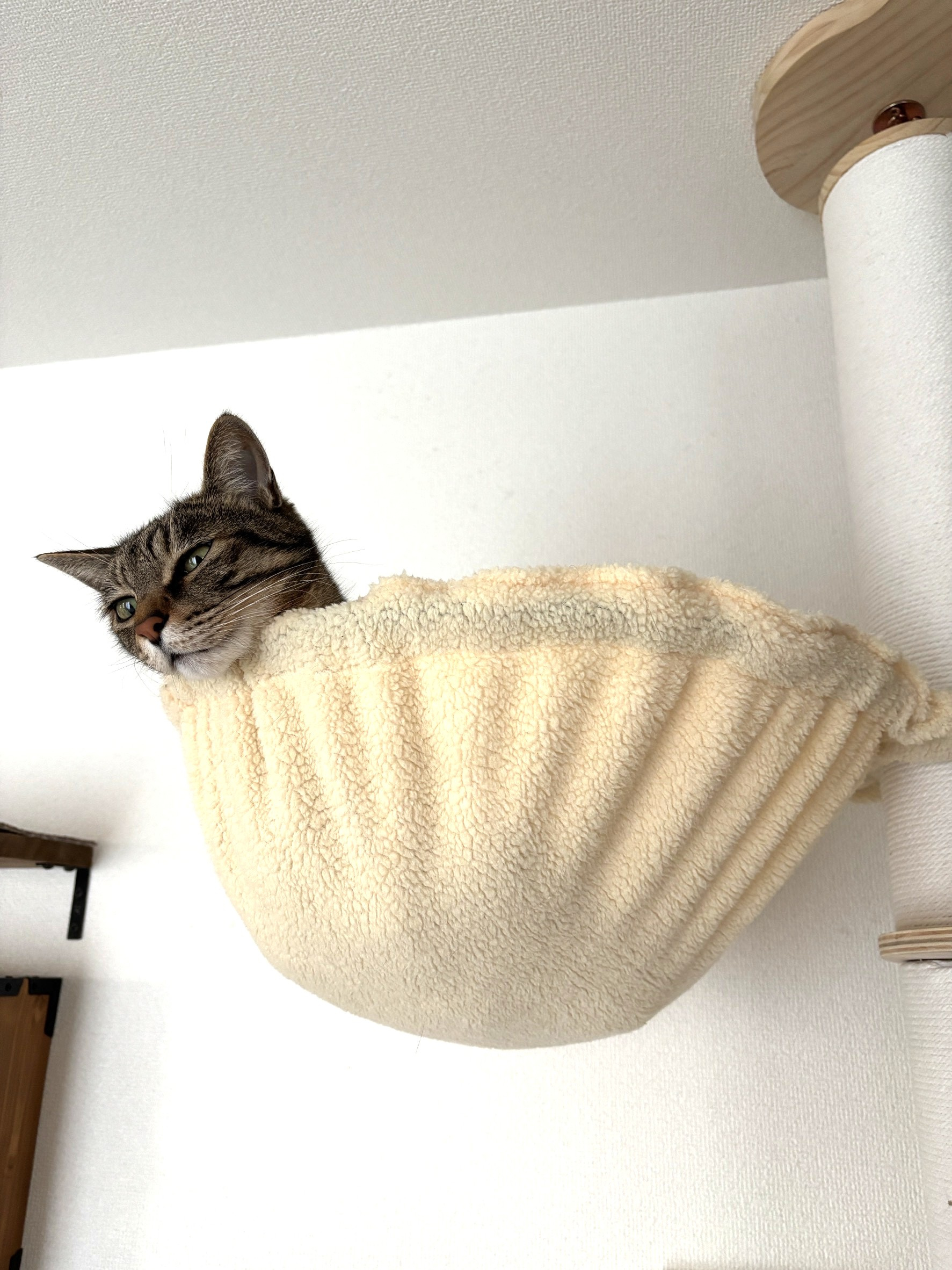 □■ハプニングだらけの日々■□の画像