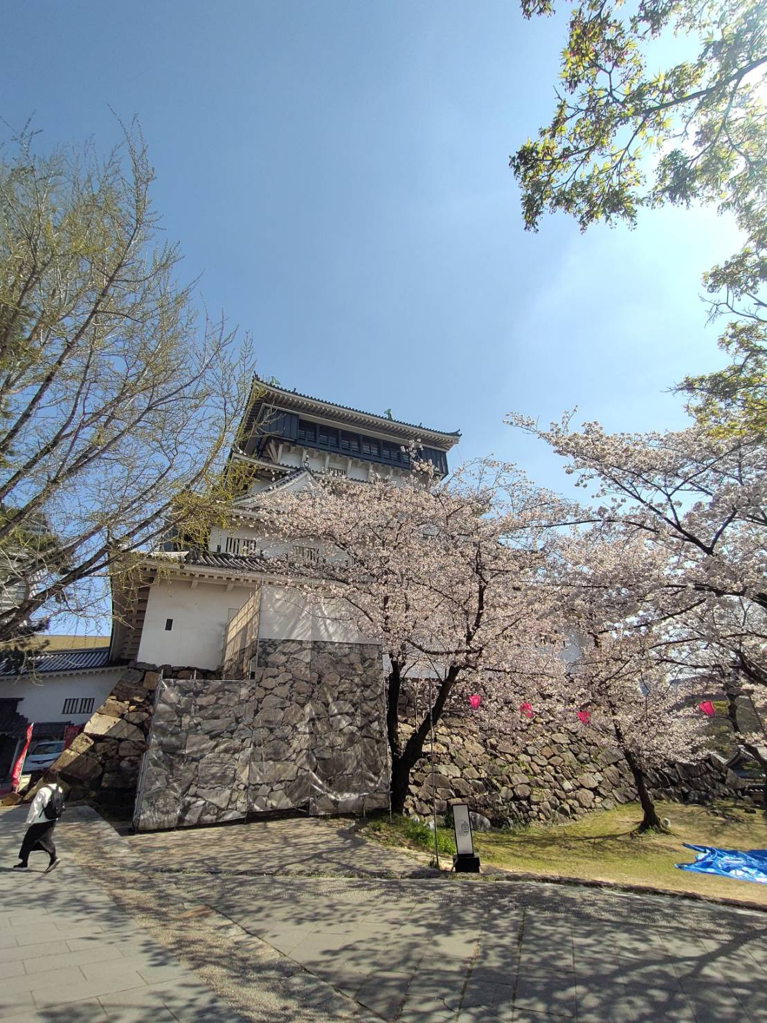 小倉城　桜祭りの画像
