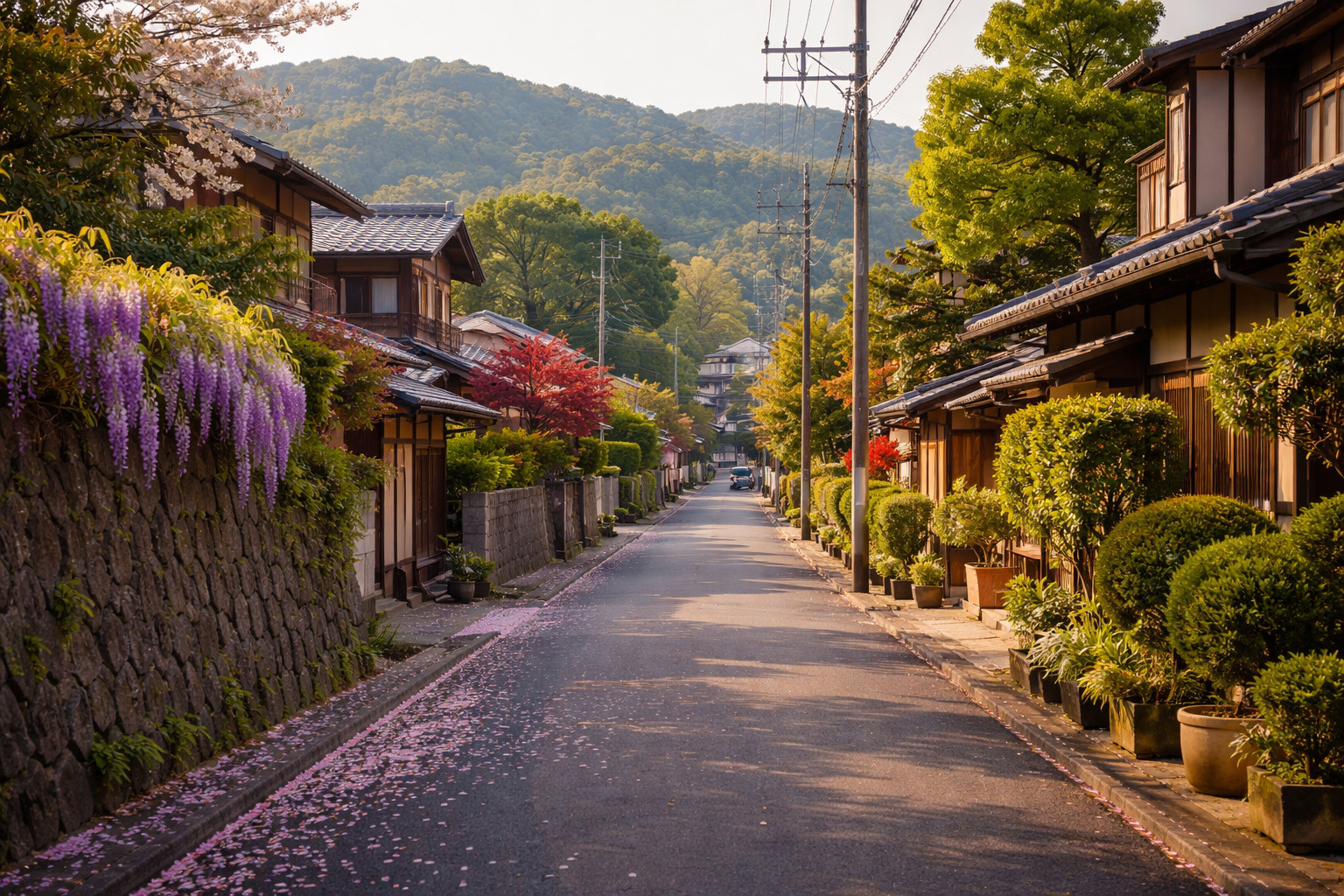 閑話休題 | 京都の桜が終わった後に見える住宅地の魅力  ―...の画像