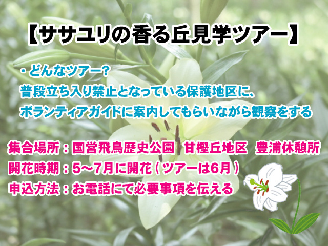 【里山自然教室「ササユリの香る丘見学ツアー」】日程やアクセスなど詳細情報の画像