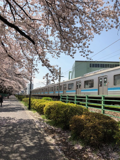 新生活を応援！！の画像