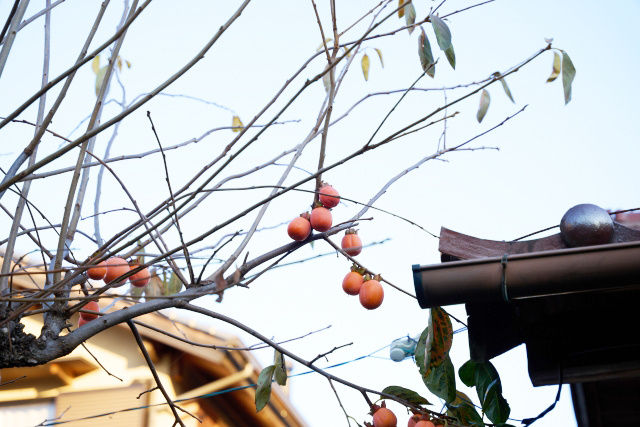 不動産を売却する際に越境が判明！解決策や覚書の作成についても...の画像