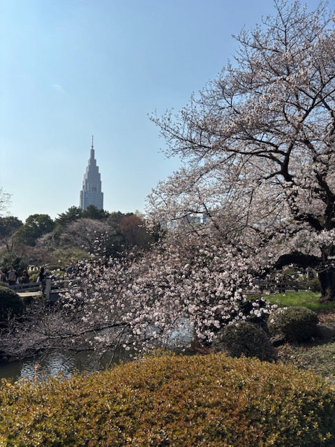 防犯面で気を付けることは何がある？  一人暮らし初心者が押さ...の画像