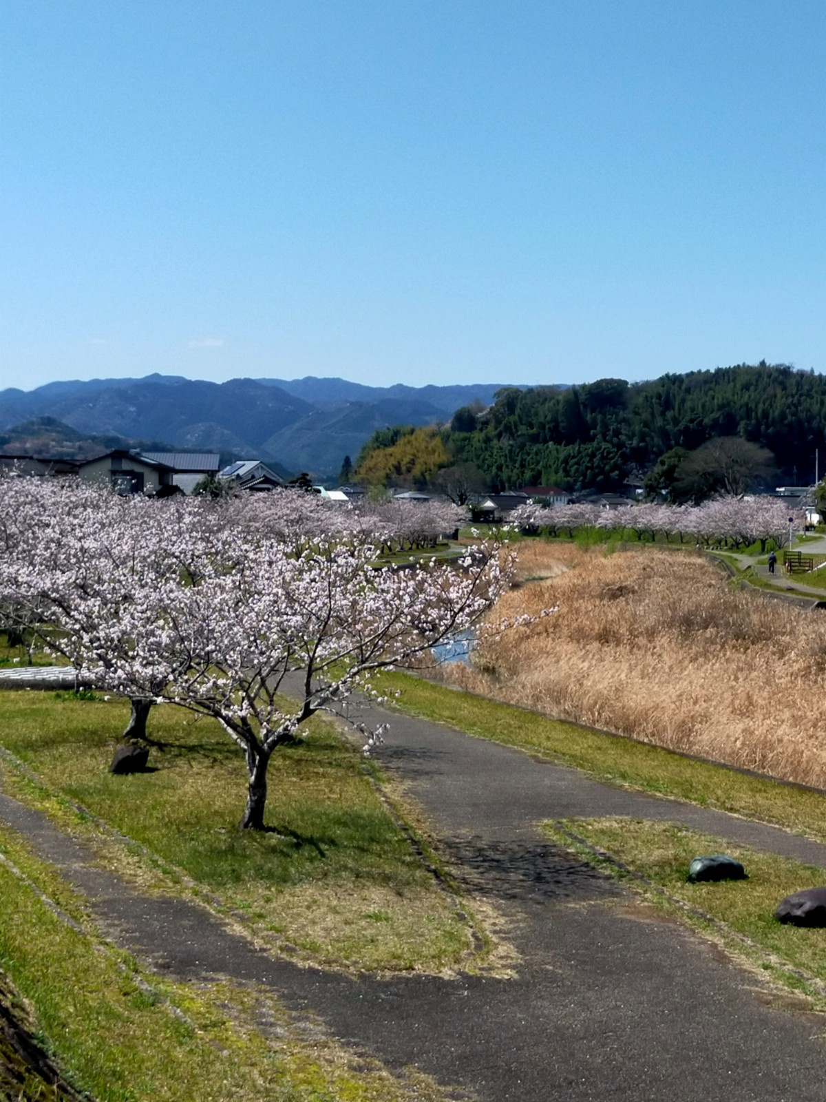 熊本市の不動産売買契約解除は可能か？  売主側の理由や具体例...の画像