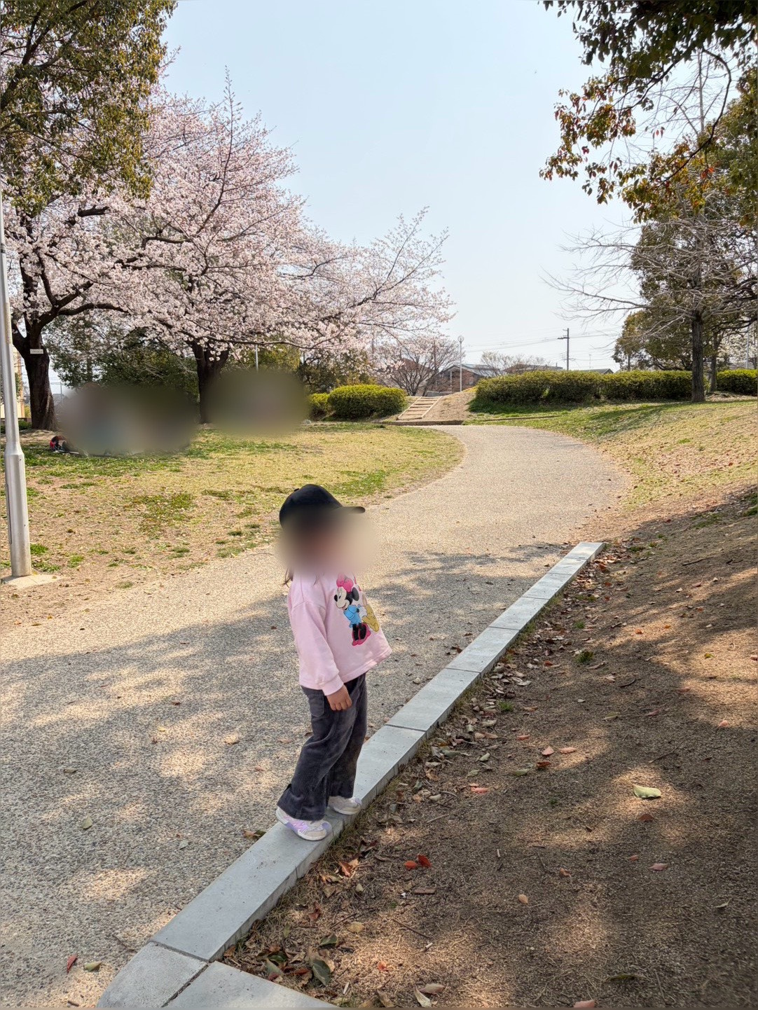 お花見の画像
