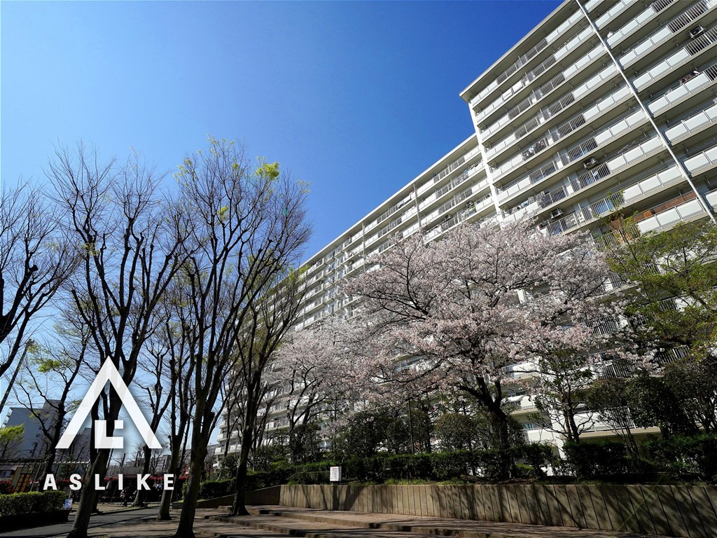 空と暮らす、最上階の贅沢。「新松戸東パークハウスC棟」のリノ...の画像