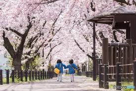 【2026年小学校入学式レポ】新一年生の晴れの日に参加してき...の画像