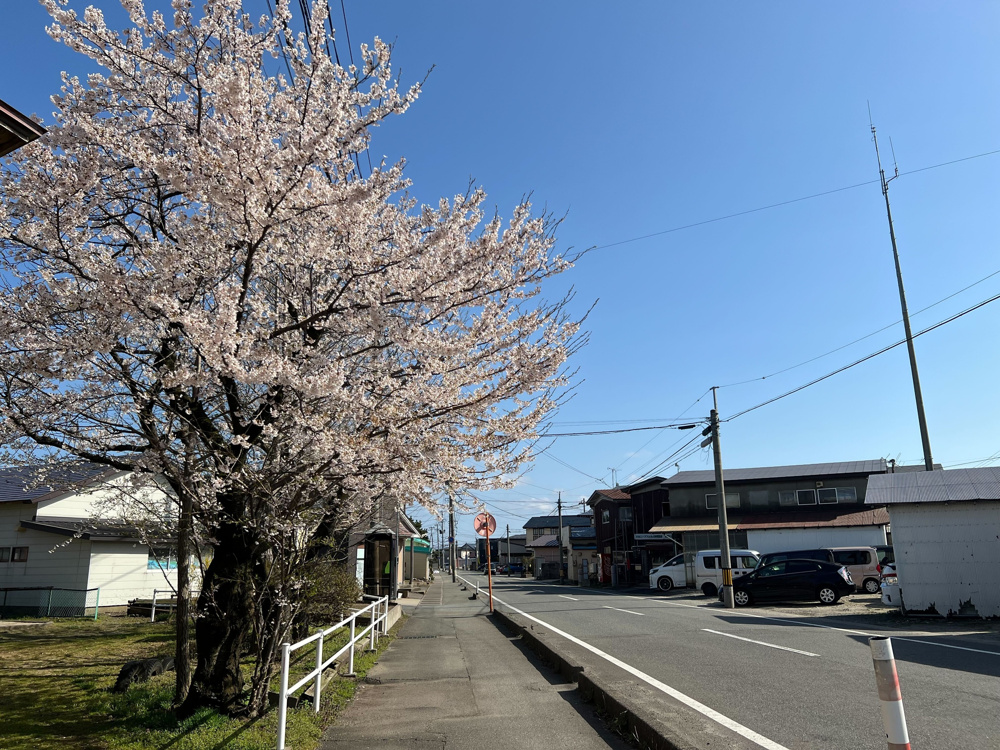 最新記事「画像」の画像