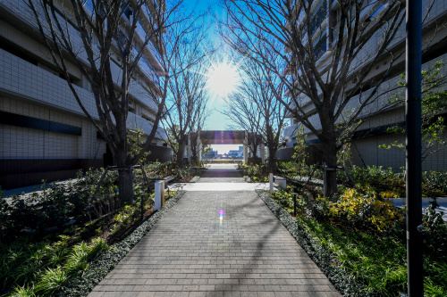 分譲マンション賃料の高止まりと“実需＋投資”の新局面の画像