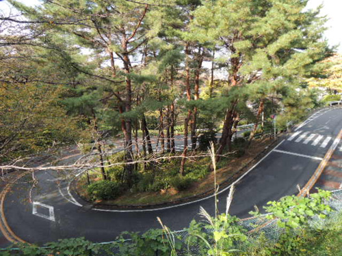 【耳をすませば②】の画像