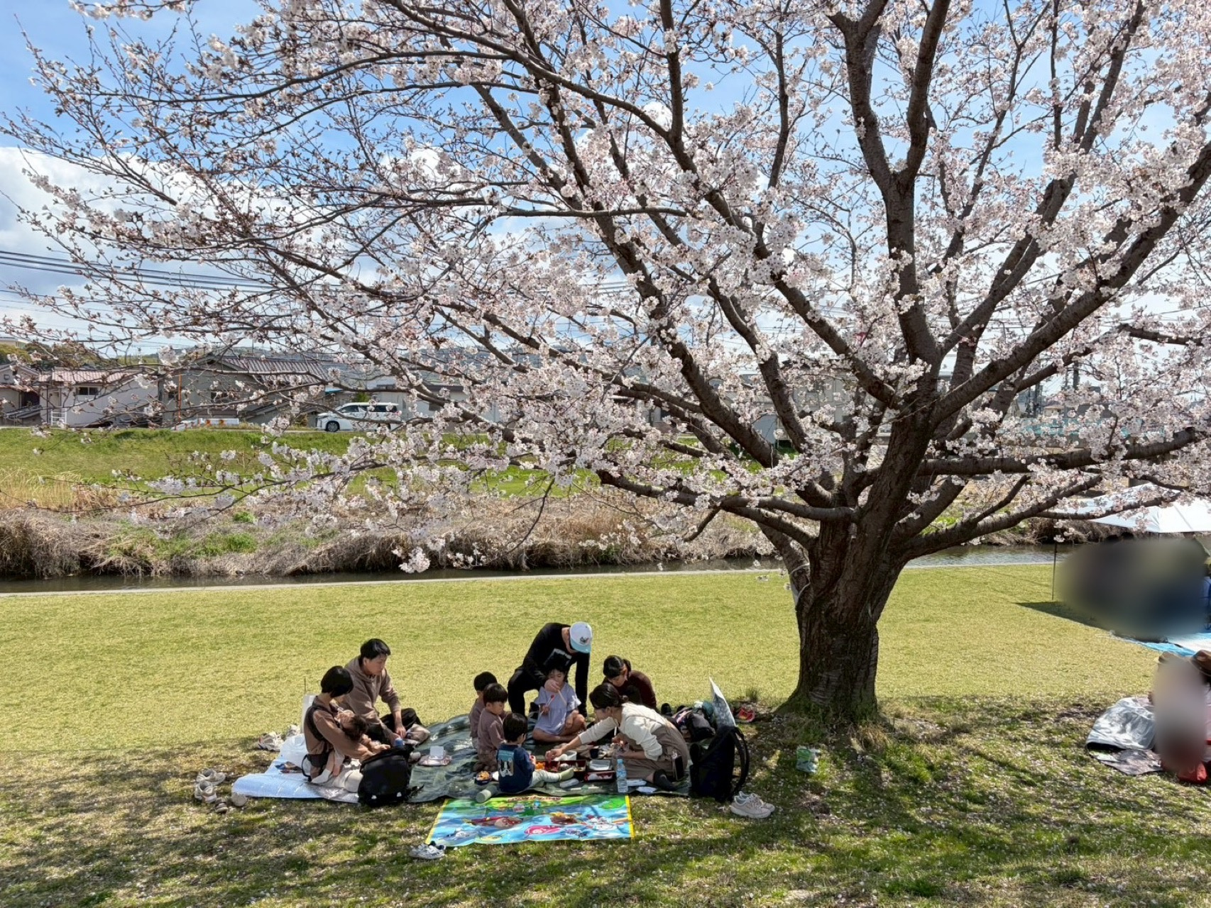 は～るがき～た～♪の画像