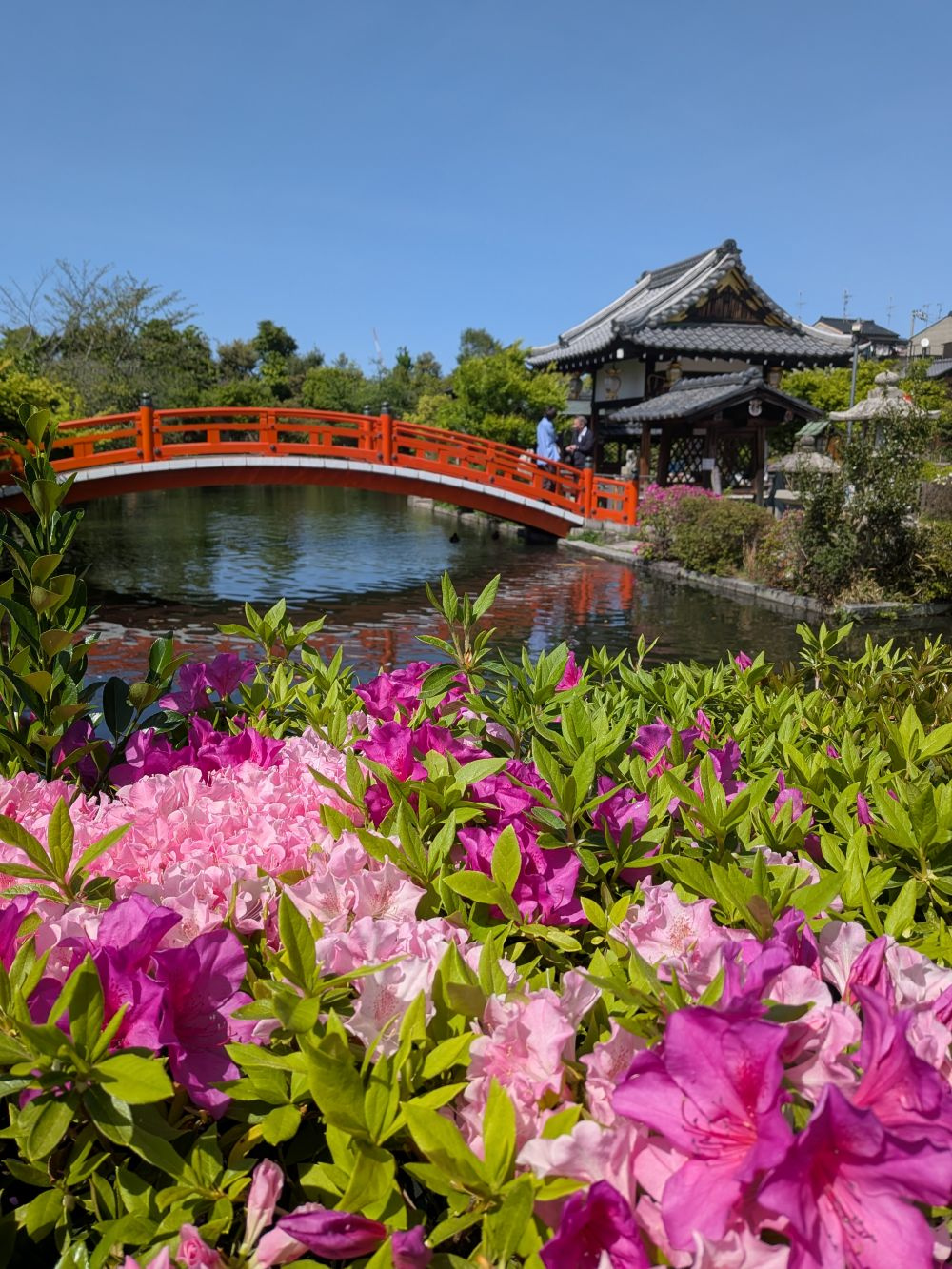 京都市北区周辺を観光の画像