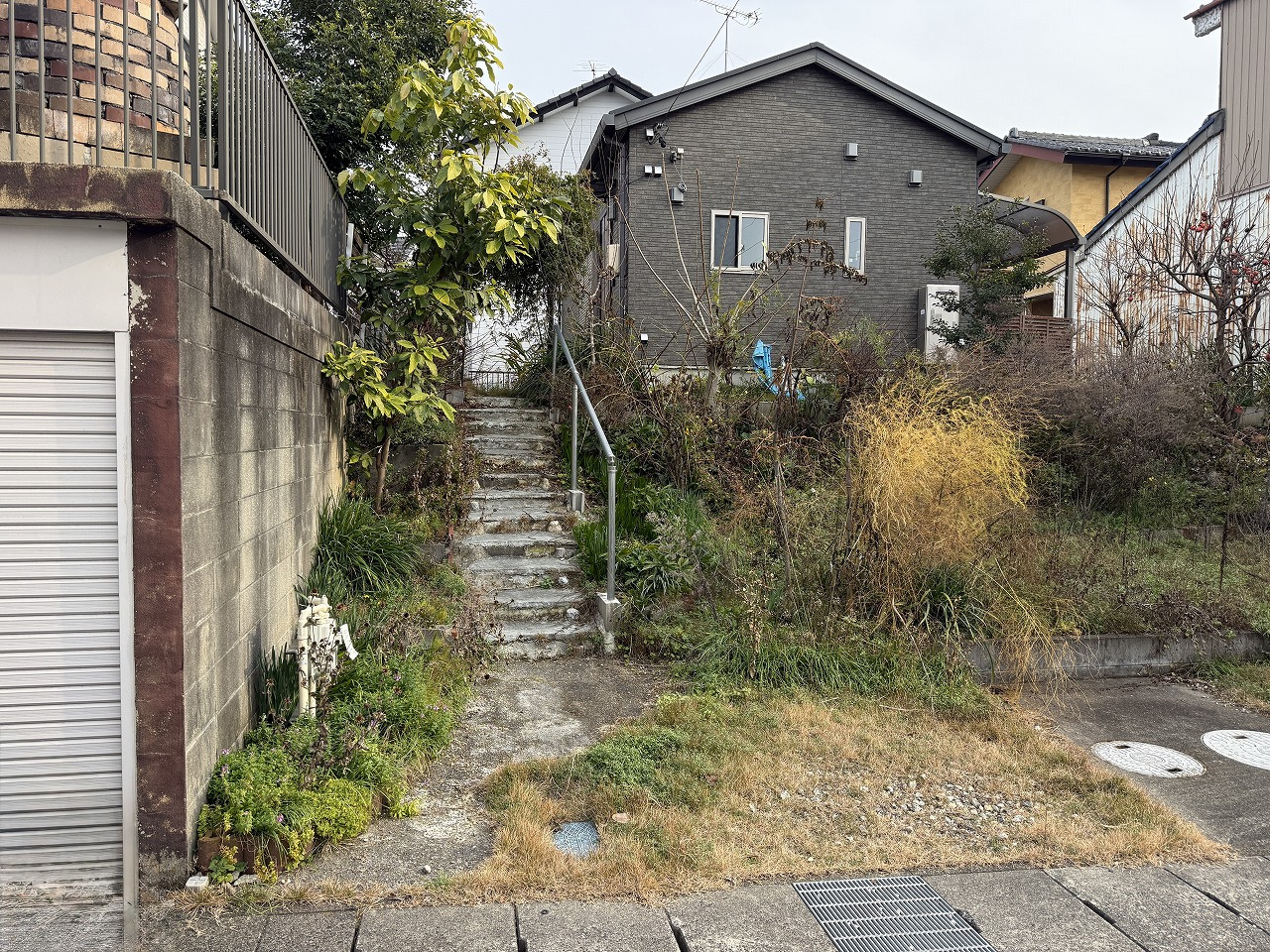 空き家の草刈りは年間何回必要？頻度と時期の目安を解説の画像