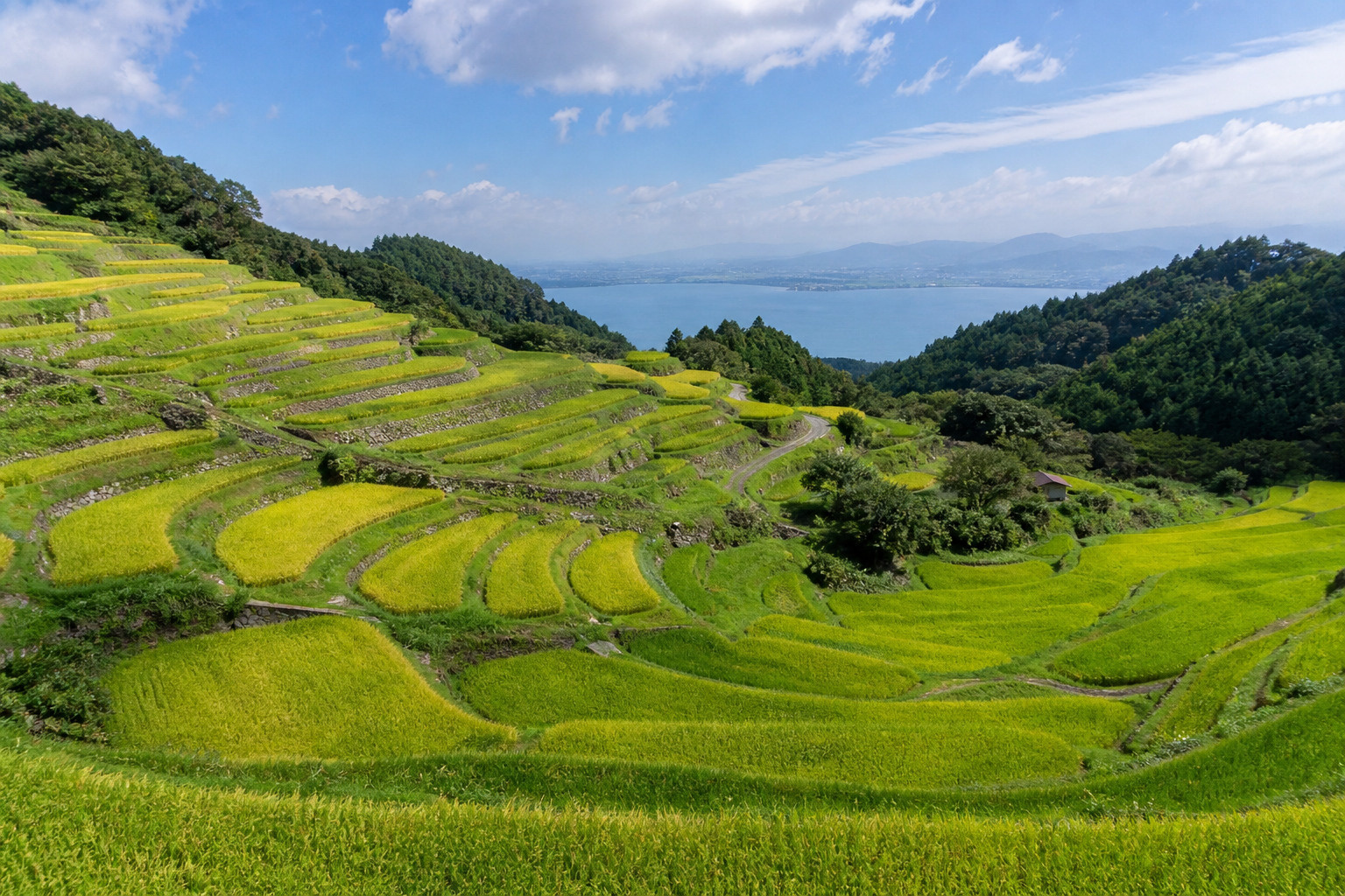 琵琶湖の国に広がる棚田の美しさ 滋賀県の田んぼ・棚田を旅する...の画像