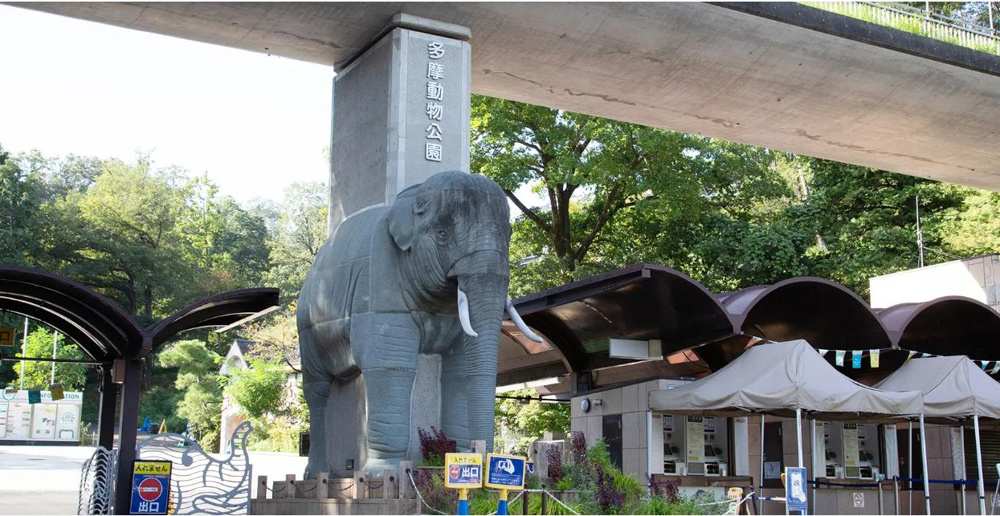 「多摩動物公園へ行ってきました。」の画像
