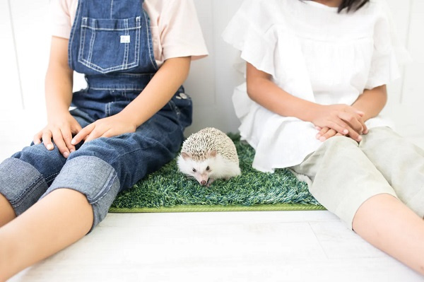 平野区と東淀川区どっちが住みやすい？不動産比較で選び方のポイ...の画像