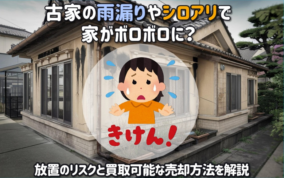 古家の雨漏りやシロアリで家がボロボロに？放置のリスクと買取可...の画像