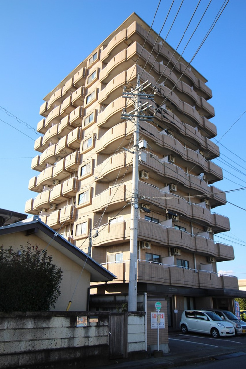 梅雨？いやもう夏でしょ！！の画像