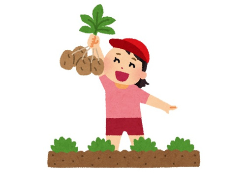 【游の郷】じゃがいも祭開催のお知らせの画像