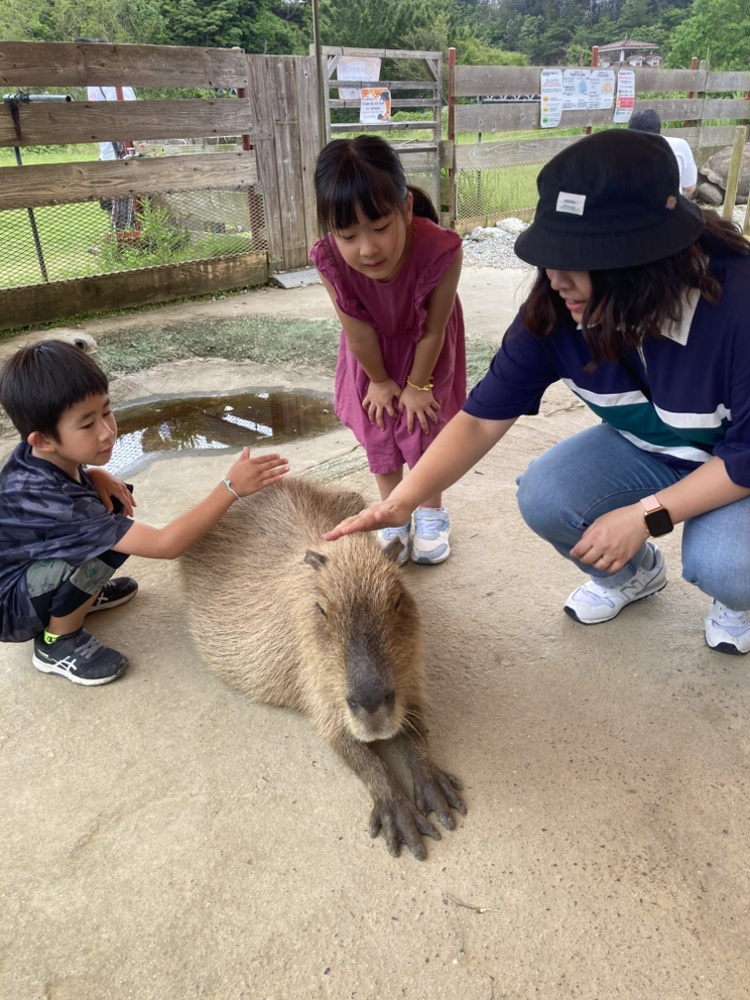 ネオパークオキナワに行ってきた♪の画像