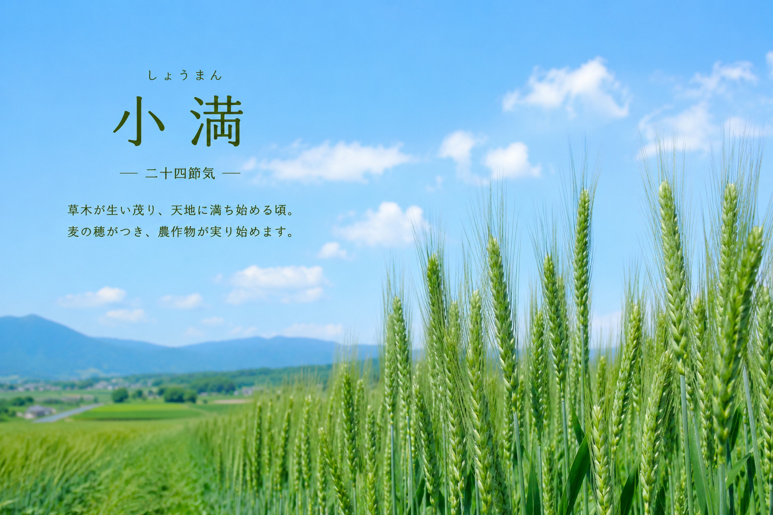小満とは？意味・時期・旬の食べ物・花・過ごし方を徹底解説の画像