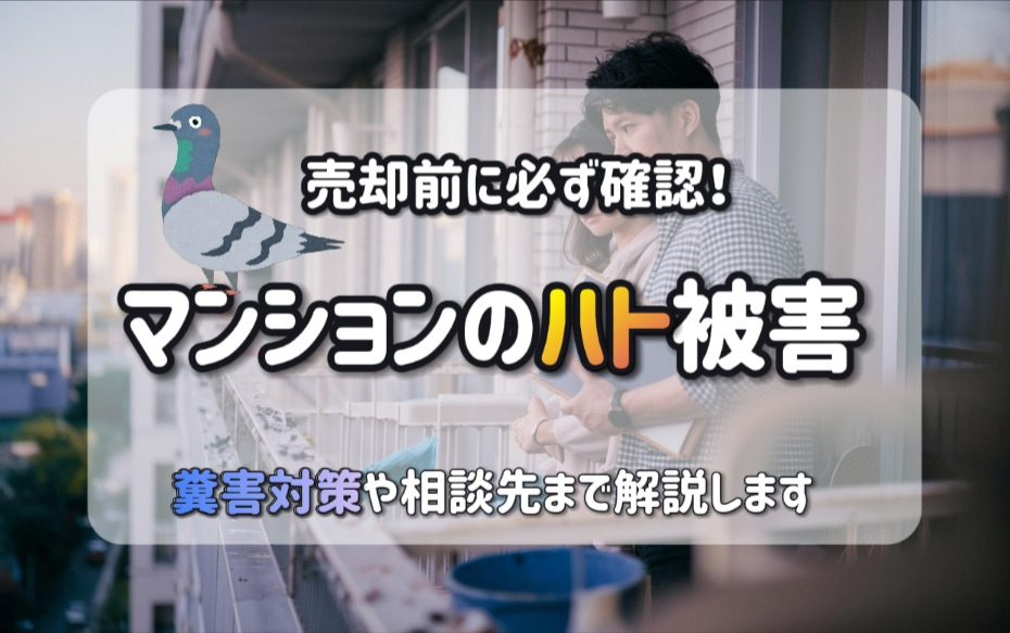 マンションのハト糞害で売却に弊害？対策や相談先まで解説の画像