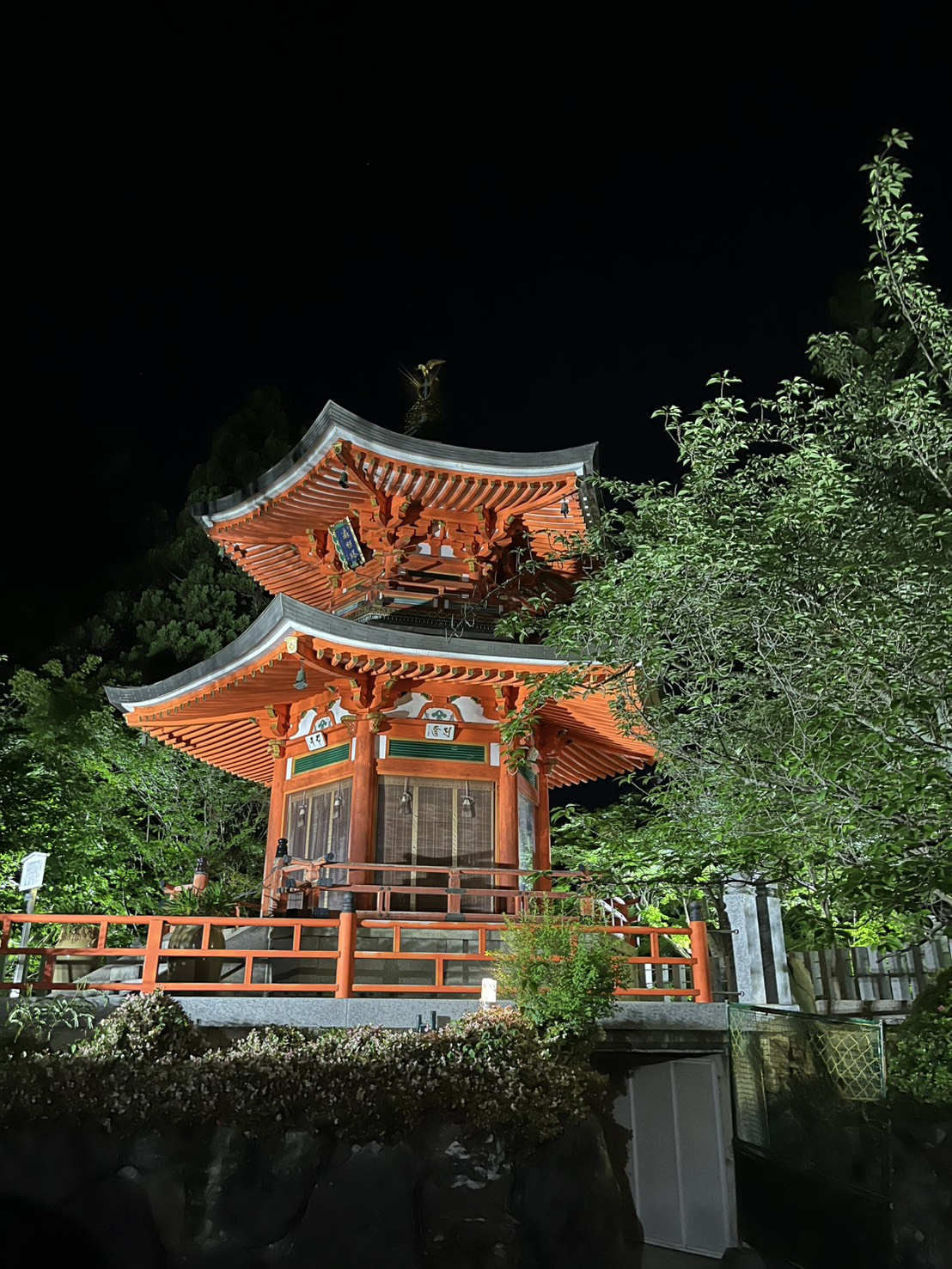 夜のお散歩♪の画像