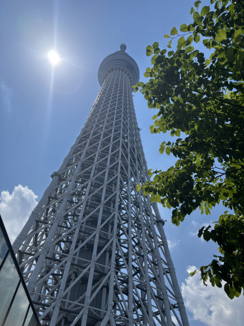 家族旅行の画像